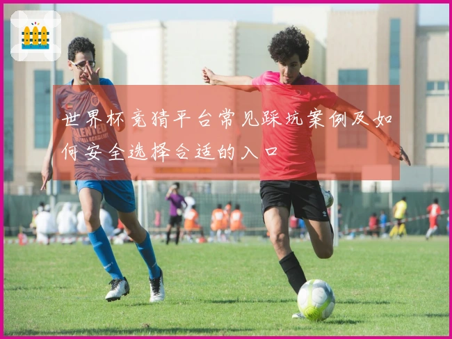 世界杯竞猜平台常见踩坑案例及如何安全选择合适的入口