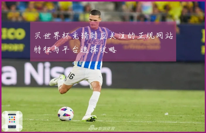 买世界杯竞猜时应关注的正规网站特征与平台选择攻略