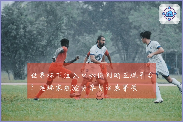 世界杯下注入口如何判断正规平台？老玩家经验分享与注意事项
