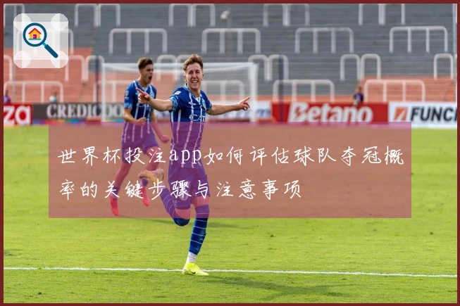 世界杯投注app如何评估球队夺冠概率的关键步骤与注意事项
