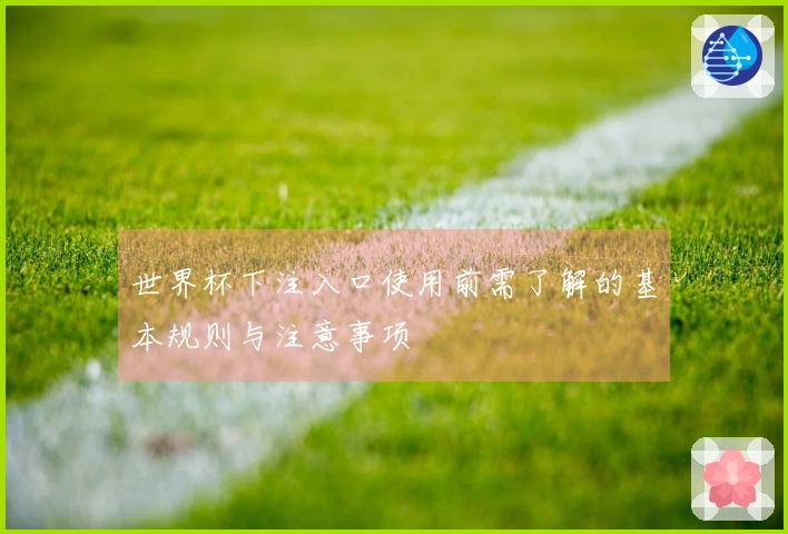 世界杯下注入口使用前需了解的基本规则与注意事项