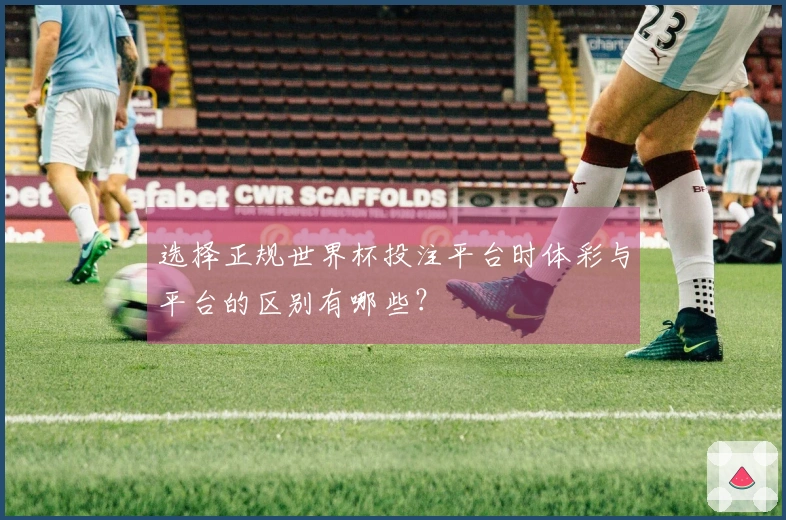 选择正规世界杯投注平台时体彩与平台的区别有哪些？