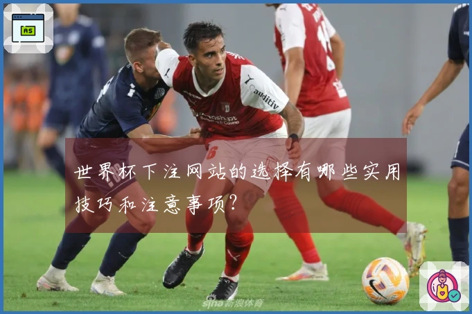世界杯下注网站的选择有哪些实用技巧和注意事项？