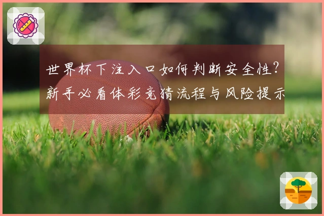 世界杯下注入口如何判断安全性？新手必看体彩竞猜流程与风险提示