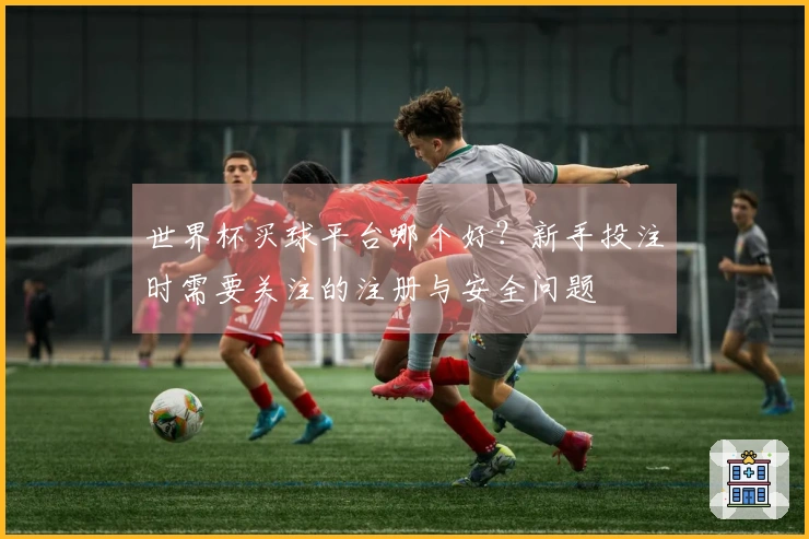 世界杯买球平台哪个好？新手投注时需要关注的注册与安全问题