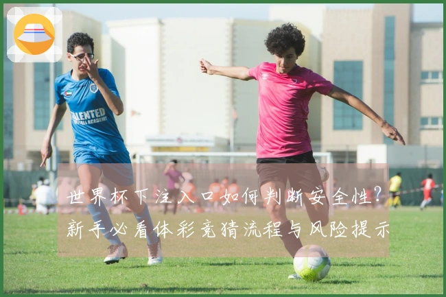 世界杯下注入口如何判断安全性？新手必看体彩竞猜流程与风险提示