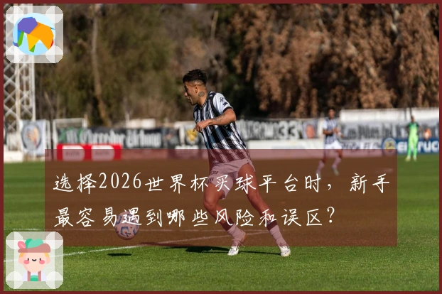 选择2026世界杯买球平台时，新手最容易遇到哪些风险和误区？