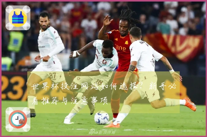 世界杯投注网站如何选择？新手必看推荐与注意事项