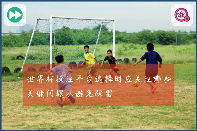 世界杯投注平台选择时应关注哪些关键问题以避免踩雷