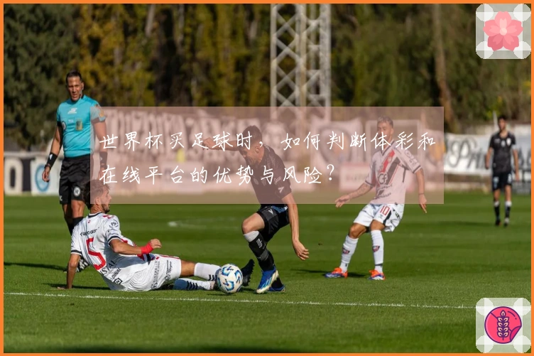 世界杯买足球时，如何判断体彩和在线平台的优势与风险？