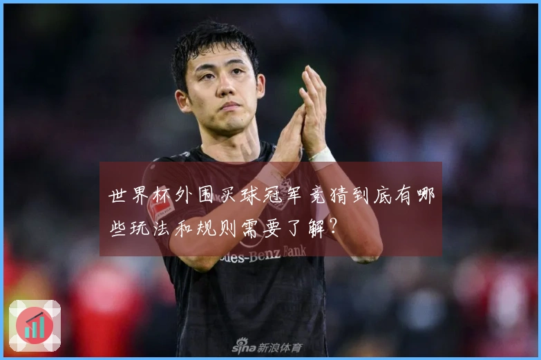 世界杯外围买球冠军竞猜到底有哪些玩法和规则需要了解？