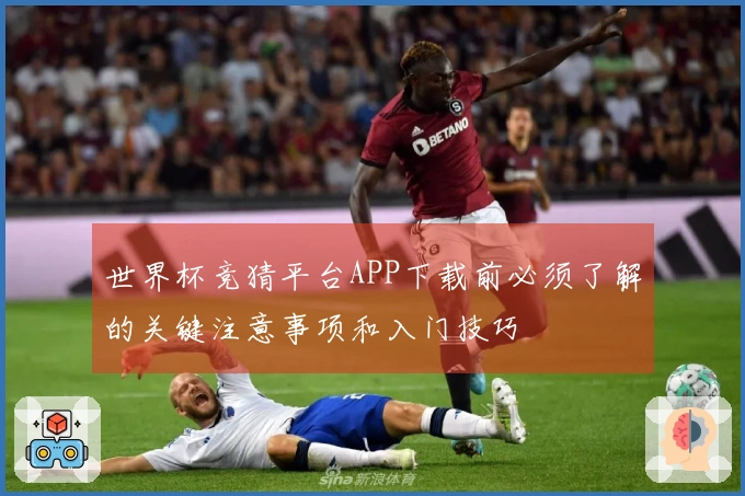 世界杯竞猜平台APP下载前必须了解的关键注意事项和入门技巧