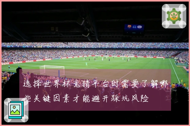 选择世界杯竞猜平台时需要了解哪些关键因素才能避开踩坑风险