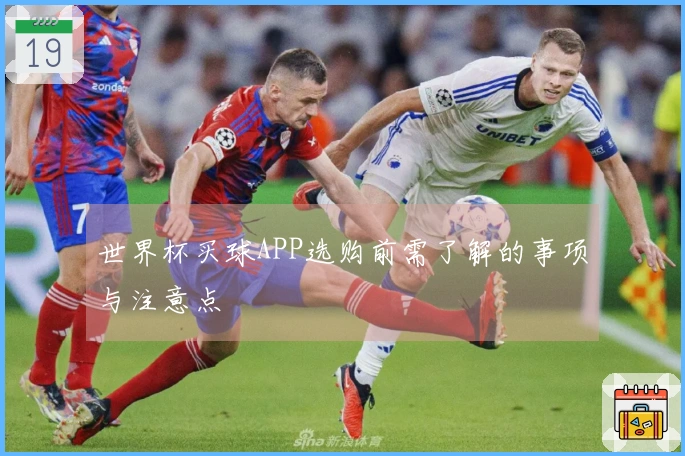 世界杯买球APP选购前需了解的事项与注意点