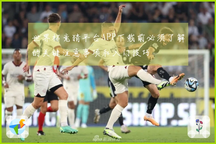世界杯竞猜平台APP下载前必须了解的关键注意事项和入门技巧