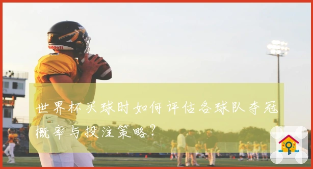 世界杯买球时如何评估各球队夺冠概率与投注策略？