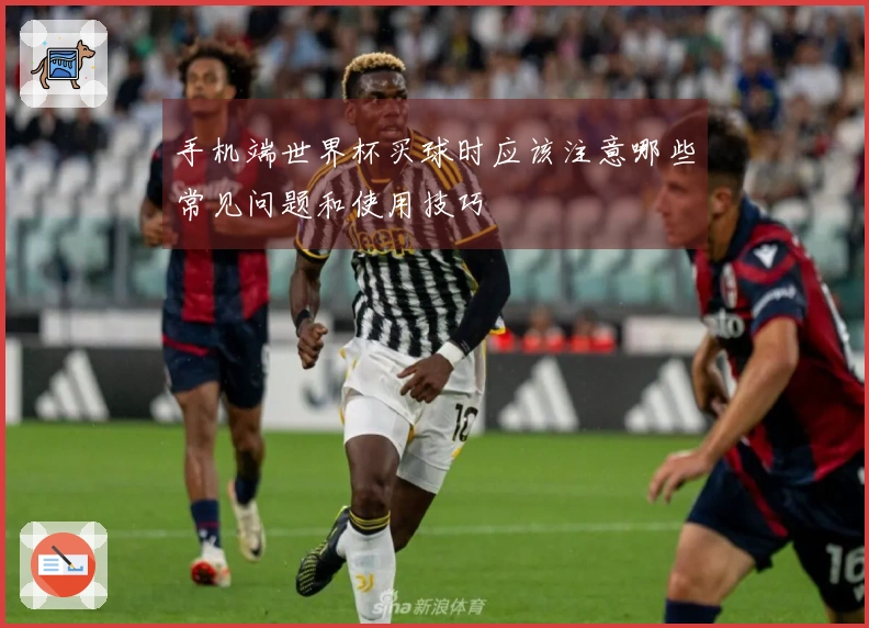 手机端世界杯买球时应该注意哪些常见问题和使用技巧