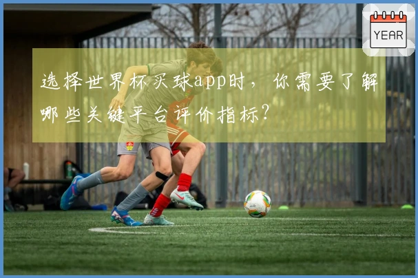 选择世界杯买球app时，你需要了解哪些关键平台评价指标？