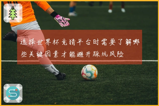 选择世界杯竞猜平台时需要了解哪些关键因素才能避开踩坑风险