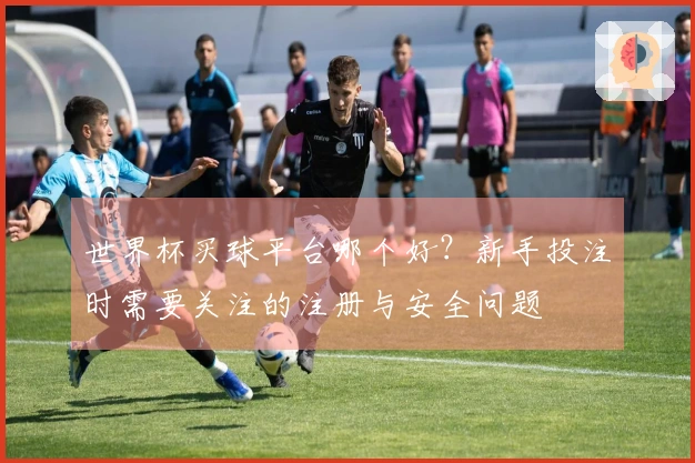 世界杯买球平台哪个好？新手投注时需要关注的注册与安全问题