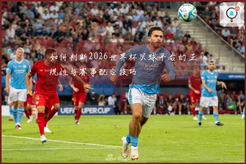 如何判断2026世界杯买球平台的正规性与赛事配合技巧