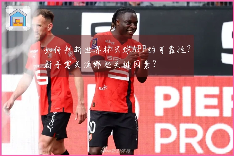 如何判断世界杯买球APP的可靠性？新手需关注哪些关键因素？