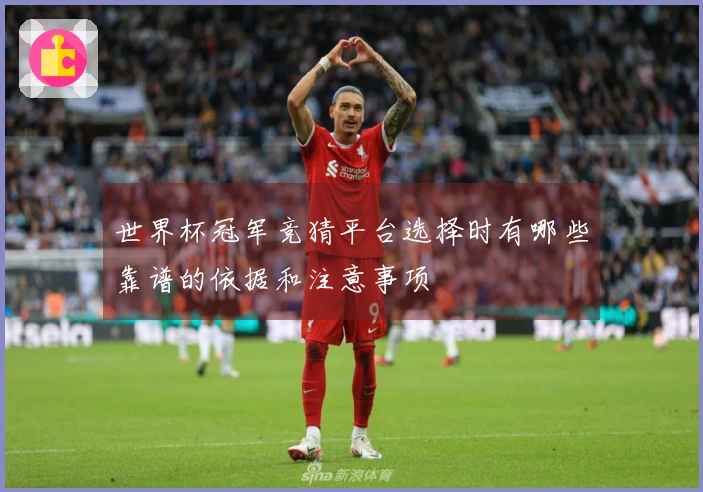世界杯冠军竞猜平台选择时有哪些靠谱的依据和注意事项