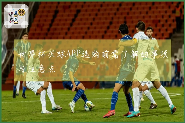 世界杯买球APP选购前需了解的事项与注意点