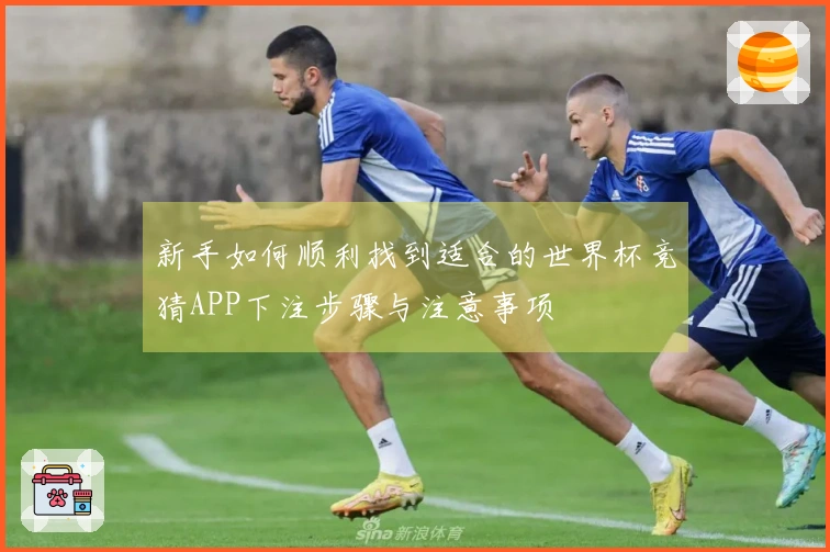 新手如何顺利找到适合的世界杯竞猜APP下注步骤与注意事项