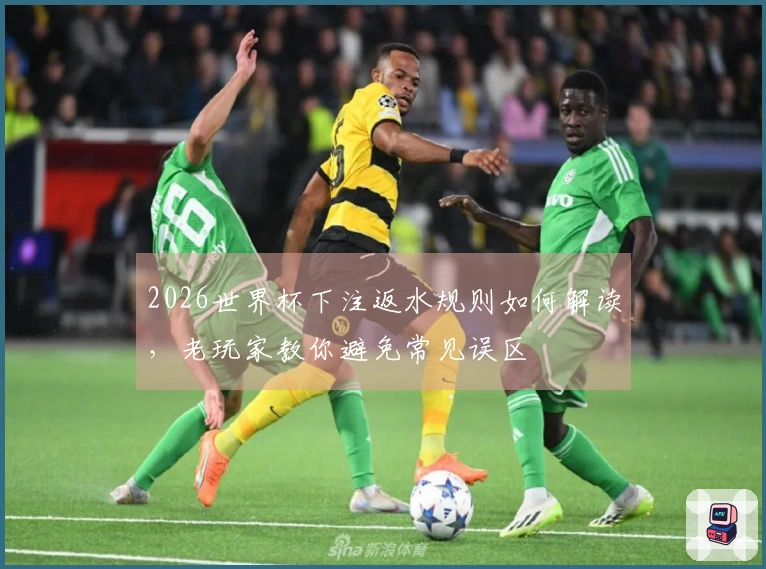 2026世界杯下注返水规则如何解读，老玩家教你避免常见误区