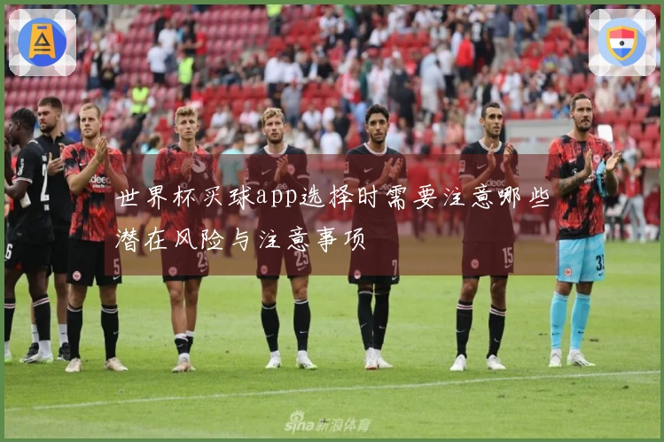 世界杯买球app选择时需要注意哪些潜在风险与注意事项