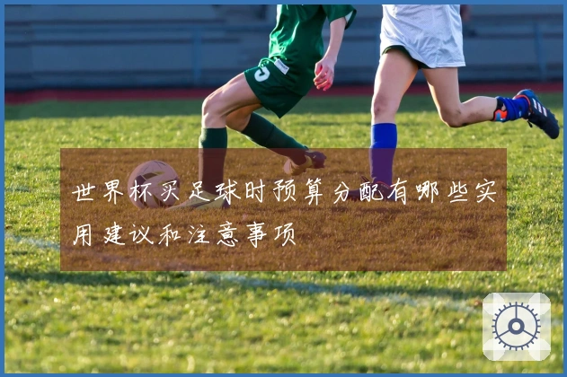 世界杯买足球时预算分配有哪些实用建议和注意事项