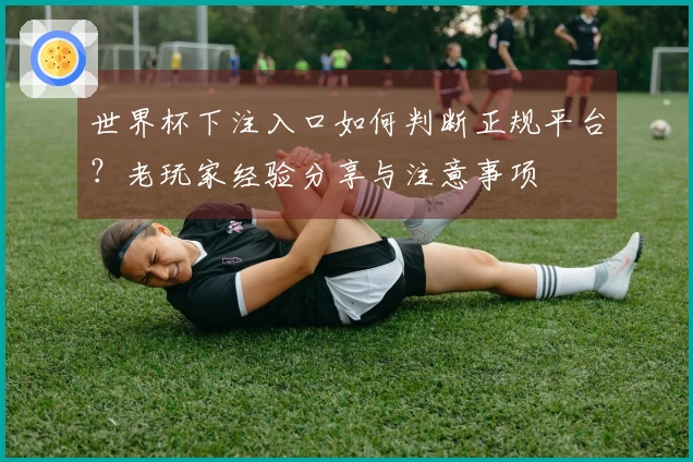 世界杯下注入口如何判断正规平台？老玩家经验分享与注意事项