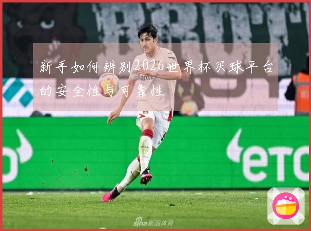 新手如何辨别2026世界杯买球平台的安全性与可靠性