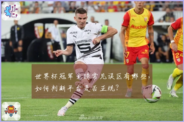 世界杯冠军竞猜常见误区有哪些，如何判断平台是否正规？