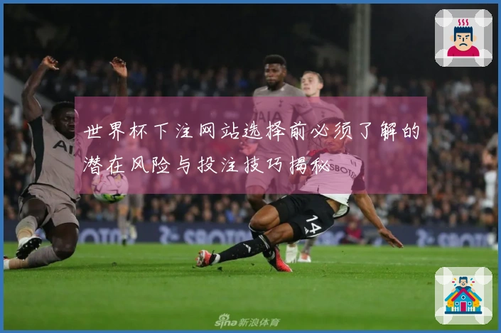世界杯下注网站选择前必须了解的潜在风险与投注技巧揭秘
