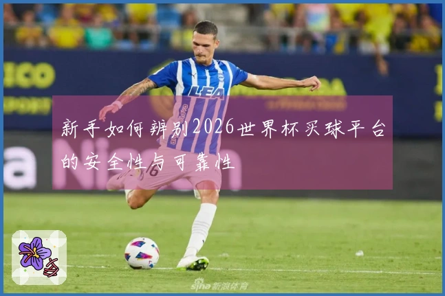 新手如何辨别2026世界杯买球平台的安全性与可靠性