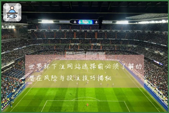 世界杯下注网站选择前必须了解的潜在风险与投注技巧揭秘